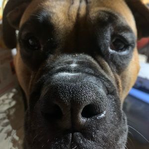 Meet your Posher, Jonathan